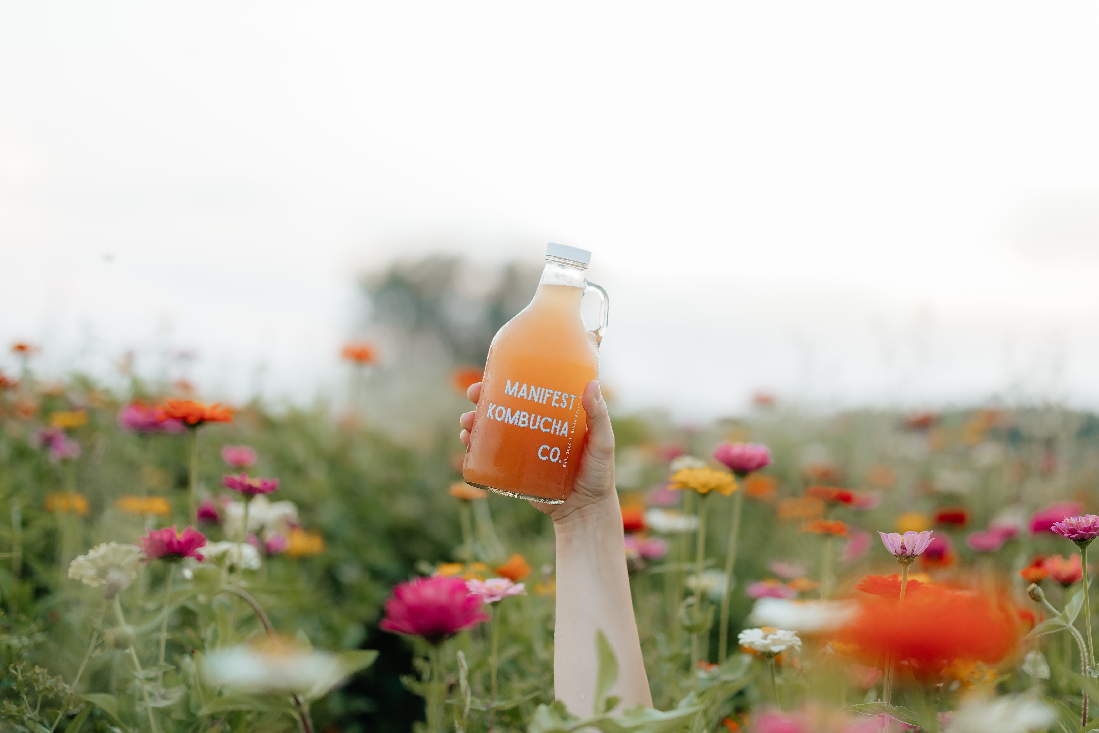 Manifest Kombucha trailer in use